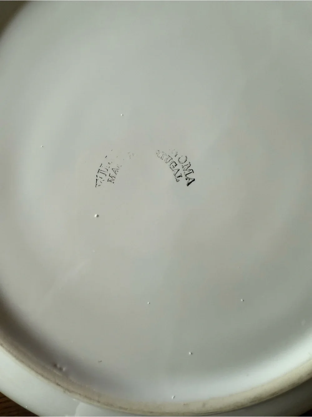 Williams Sonoma Tournesol Large Serving Bowl – Hand-Painted Floral Pattern – 13”